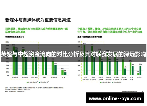 英超与中超资金流向的对比分析及其对联赛发展的深远影响 英超与中超资金流向的对比分析及其对联赛发展的深远影响