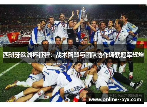 西班牙欧洲杯征程：战术智慧与团队协作铸就冠军辉煌