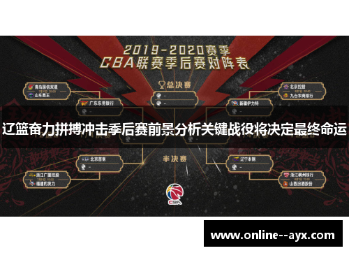 辽篮奋力拼搏冲击季后赛前景分析关键战役将决定最终命运