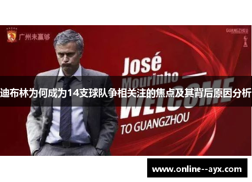 迪布林为何成为14支球队争相关注的焦点及其背后原因分析