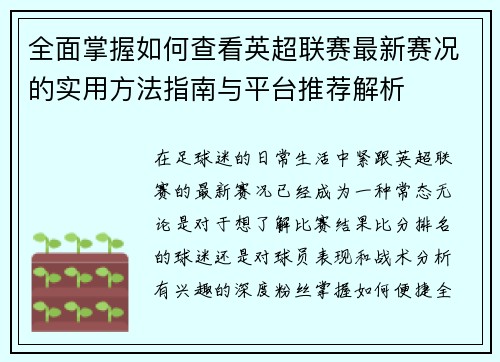 全面掌握如何查看英超联赛最新赛况的实用方法指南与平台推荐解析